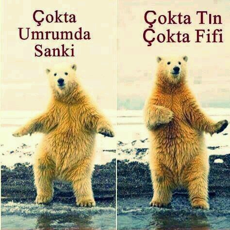 Yildiz Teknik-Makina. animesever. umutsuz vaka, degisken kisilik...                                             ha birde tabi ki : #takipedenitakipederim