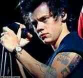hey i am harry styles i love to sing and party \single rp bi\