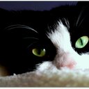 Elly Potter - @io_blu - Twitter