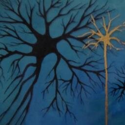 kybalion3's profile picture. Apasionado de internet, las redes sociales y como no, de  Twitter