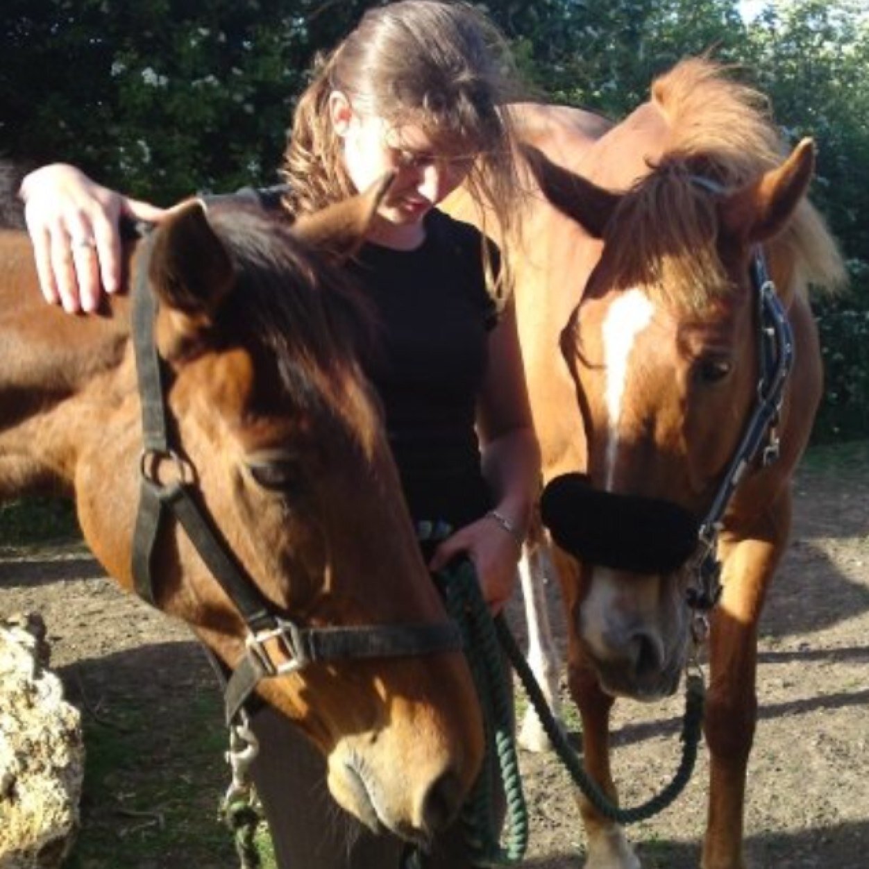 HannahDC's profile picture. 