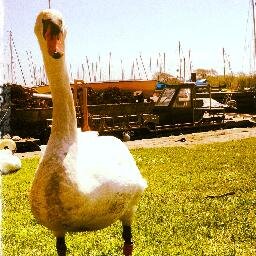 LocalTravlr's profile picture. Local Tips, Eats, Drinks and Stays from around the World. Follow @LocalTravlr on http://t.co/uRcd51pHBL for the World from a Local Lens. Full guides at..