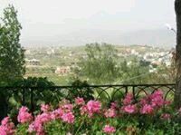 دكتور