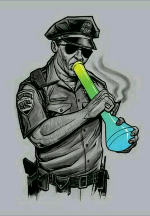 siga @Po_Pedro1