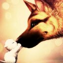 lucy savage - @lucysavage18 - Twitter