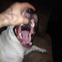 randy clayton turner - @randybear97 - Twitter