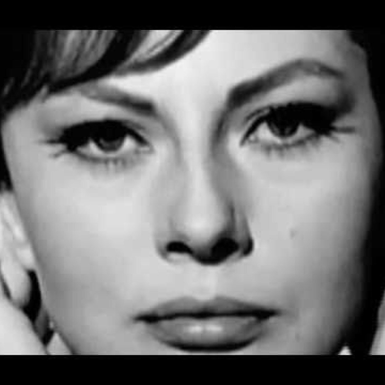 sfbay_recruiter's profile picture. 