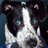 whysoblu's profile image