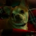 Tammy Tolbert - @TolbertTammy - Twitter