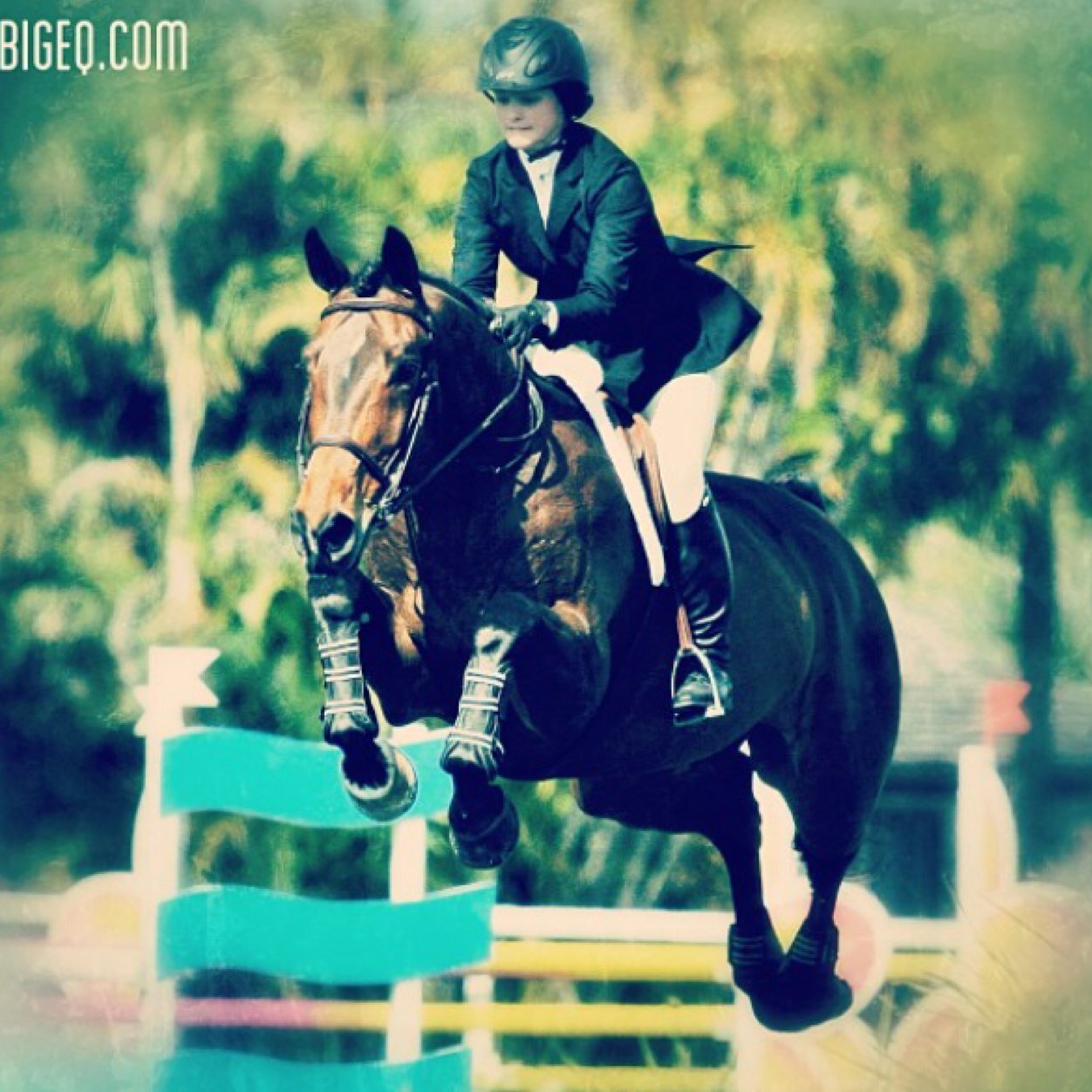 Everything A. Junior Hunters to Big Eq.
Go big or go home