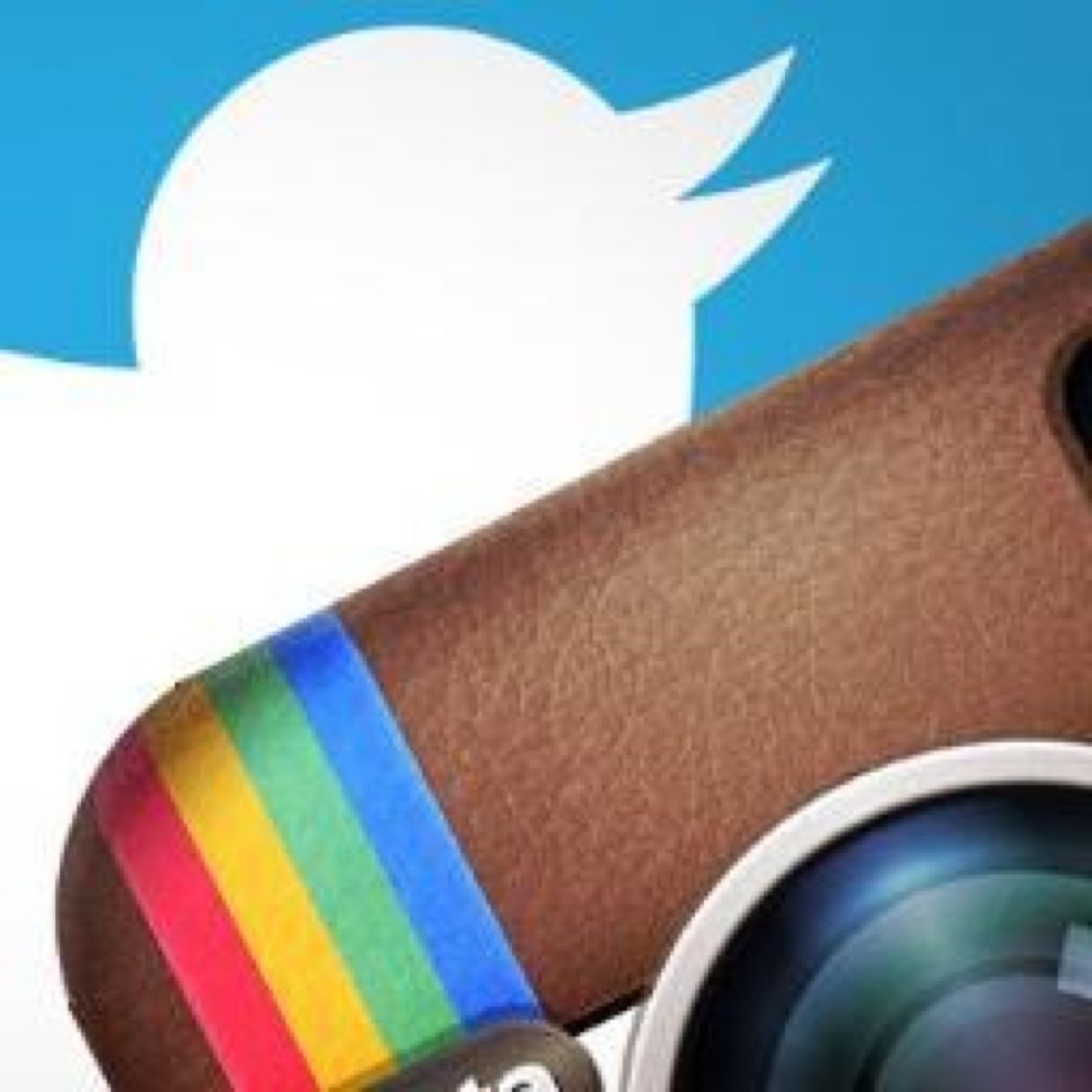 social_insanity's profile picture. Get your instagram and twitter followers now!!