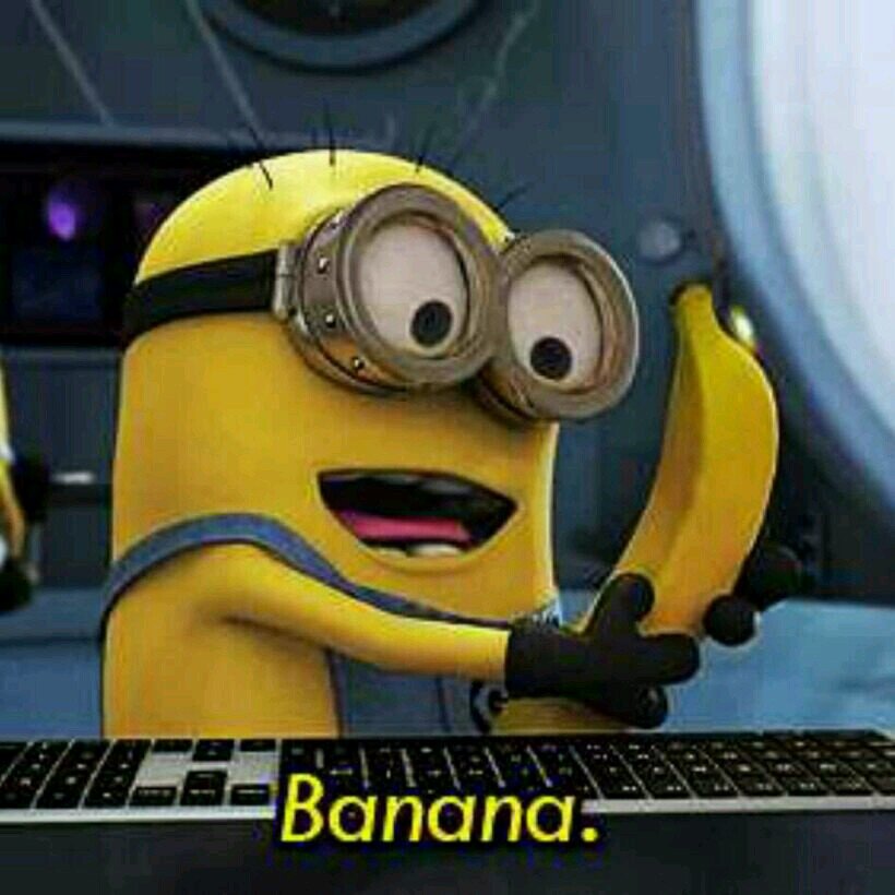 lilnemesis536's profile picture. 