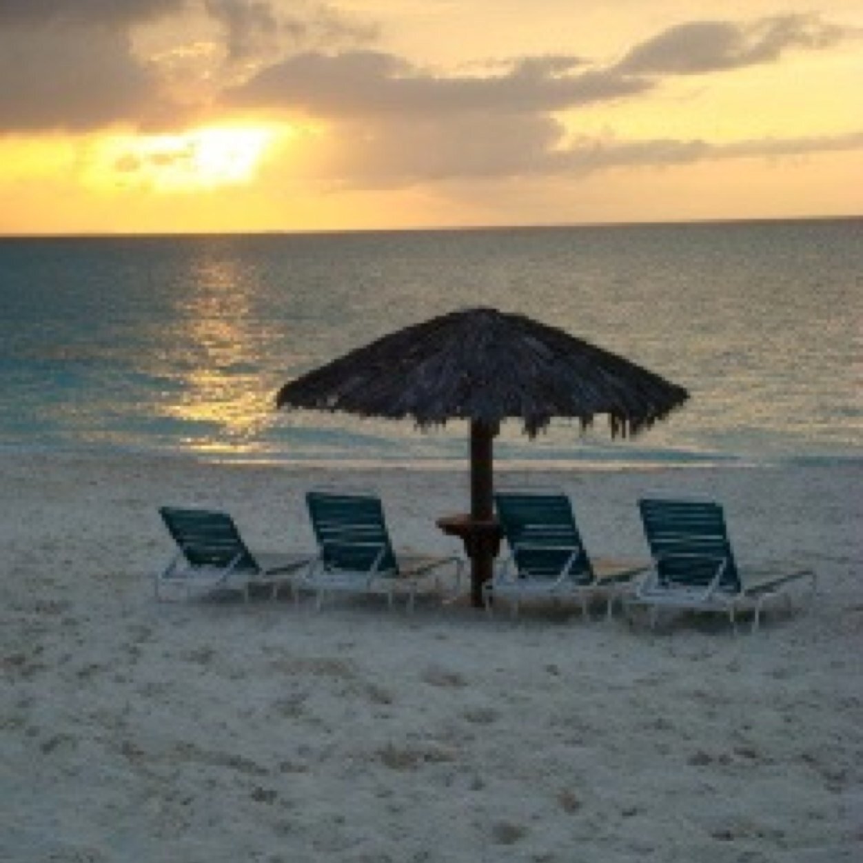 AnitaLince's profile picture. everybody has a story