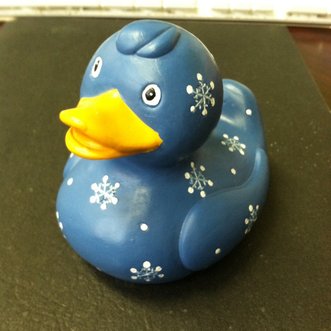 JSnowduck Profile Picture