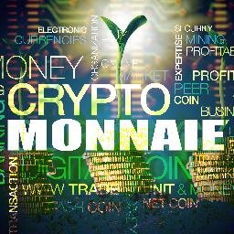 Passionné par les cryptomonnaies depuis leur apparition sur le Deepweb. Les devises numériques joueront un rôle déterminant dans l'avenir de nos sociétés.