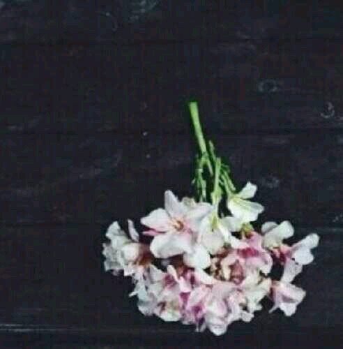 ‏‏سبحان الله وبحمده