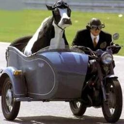 shepherdsman's profile picture. Dairyfarm manager, and I'm a runner.