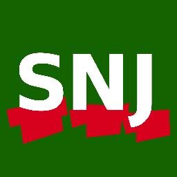 Section Ain-Rhône-Loire du syndicat national des journalistes (SNJ)