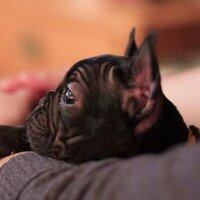 james grieve (@jamesgrieve) 's Twitter Profile