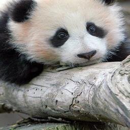 Gloryshmily's profile picture. 