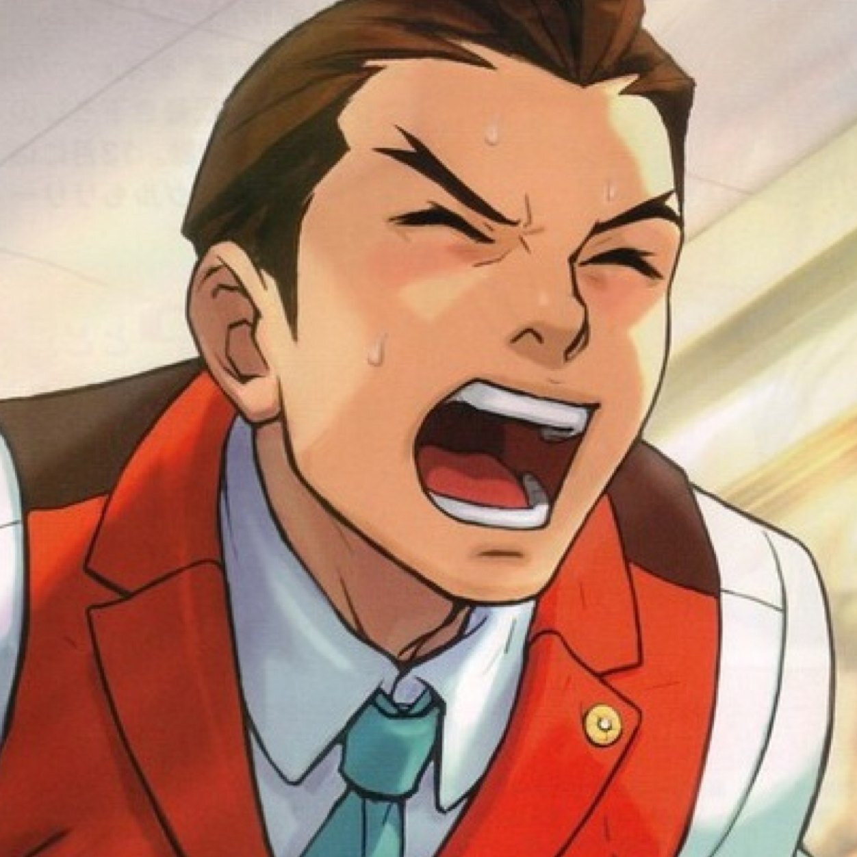 No matter how hard you might try, there's no way you'll be pulling the wool over my eyes! I'm Apollo Justice, and I'M FINE!!
