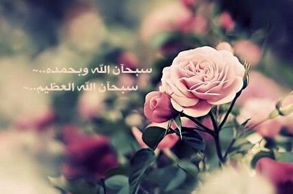 اللهم أغفر لها و أرحمها وآنس وحدتها وأجعل قبرها روضة من رياض الجنة.. وجميع أموات المسلمين والمسلمات .. أمين