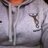 Quins4Ever77's profile image