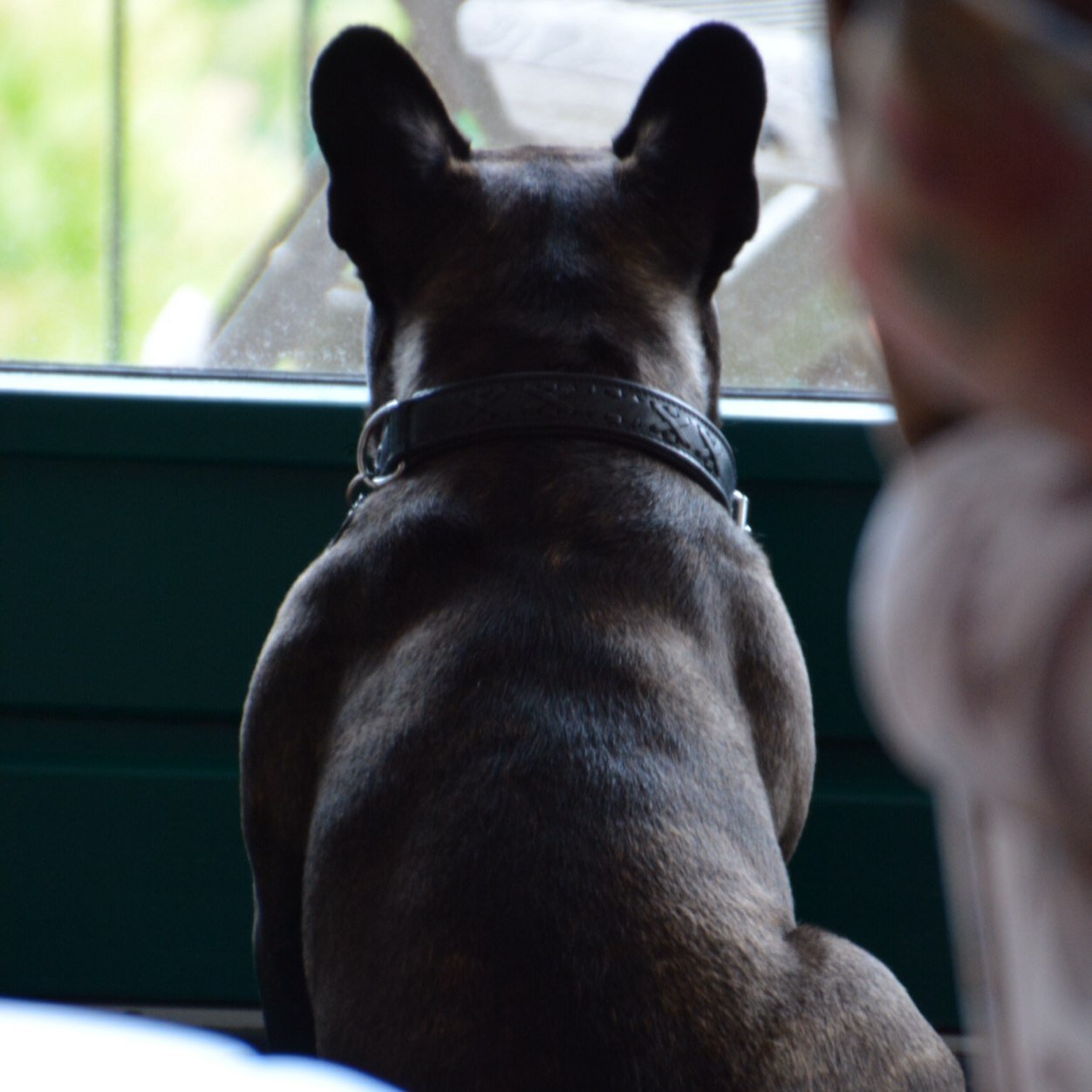 Cader001's profile picture. When I said that I cleaned my room, I just meant I made a path from the doorway to my bed. - Anonymous