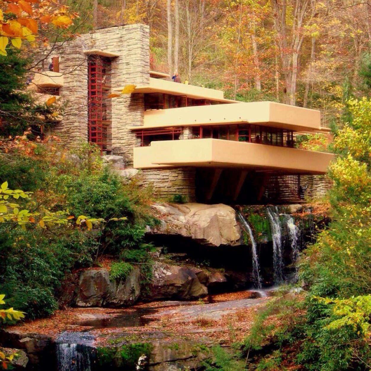 FiscasJose's profile picture. 