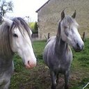 Denis Benoit - @DenisBenoit3 - Twitter