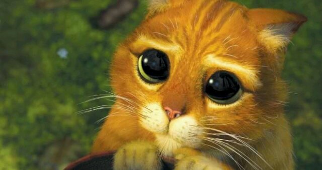 mery_utrera's profile picture. 