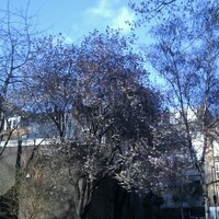MoreMediaNonsense (@mmedianon) 's Twitter Profile