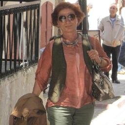 Retired - Lecturer at Yeditepe Uni. NO DM please 😡. Married.