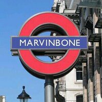 Marvin (@marvinwhippet) 's Twitter Profile
