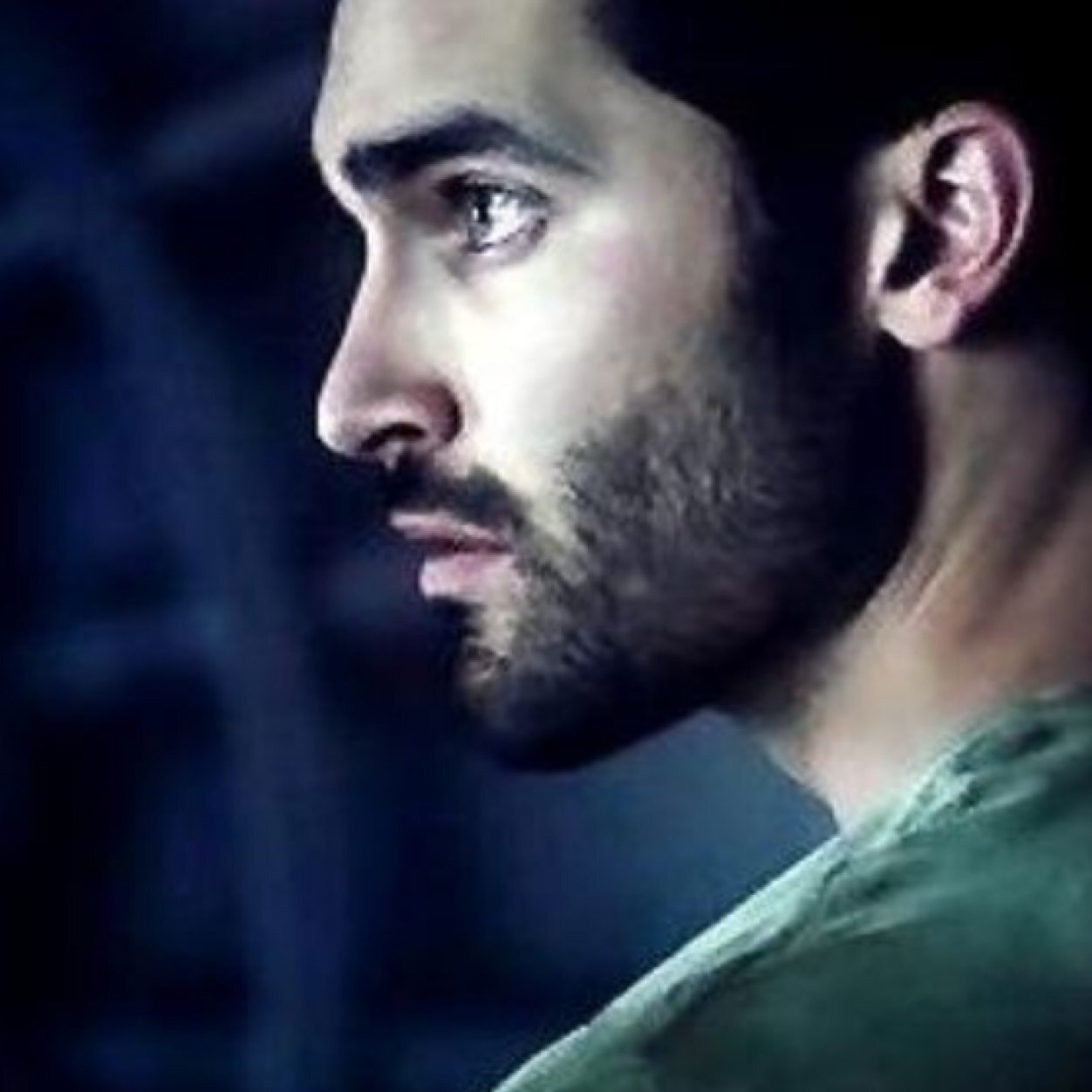The God of the Forest gave the choosen Ones a Gift. To be more then Human, to throw away the Pelt of a hunted Animal..and to grow there own! |Rp|Single|Alpha|