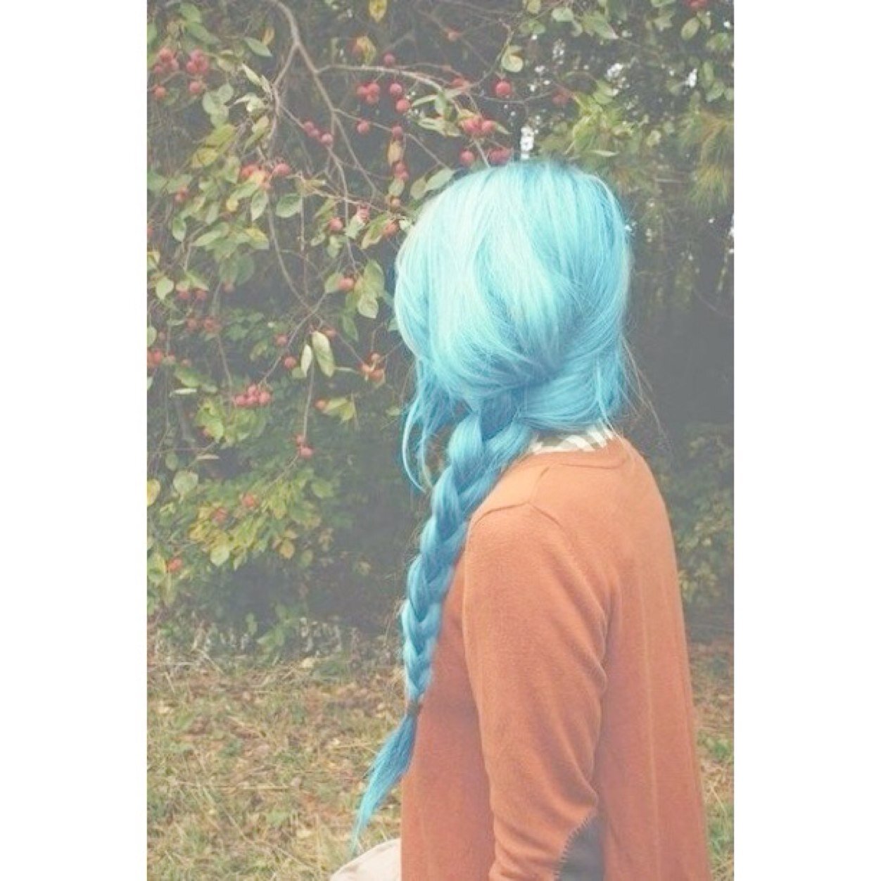 Please follow @ncxll //she follows back if you ask// :) xo