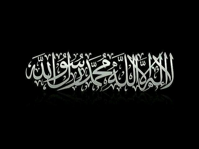 والله متم نوره ولو كره الكافرون