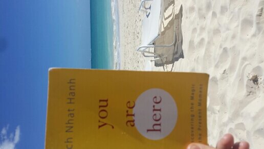 MZamuner's profile picture. 🌻