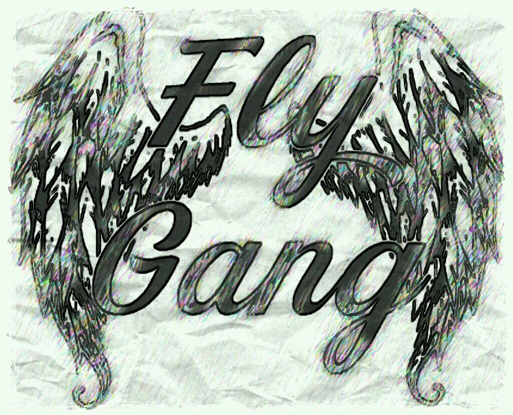 Official Twitter Page of Fly Gang Entertainment, Subscribe to Fly Gang Tv on Youtube, Follow the Movement! Free Don Fetti!!