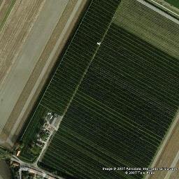 fruitteler appel/peer,  trotse ouder, getrouwd met pracht vrouw