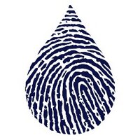 Waterlust (@waterlust) 's Twitter Profile