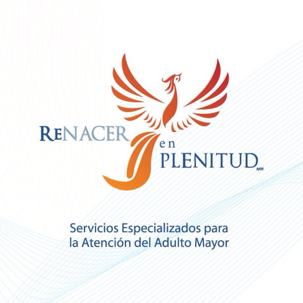 RenacerPlenitud's profile picture. Pioneros de la Gerontotecnología en México para favorecer el Envejecimiento En Casa y los servicios en Instituciones Gerontológicas.