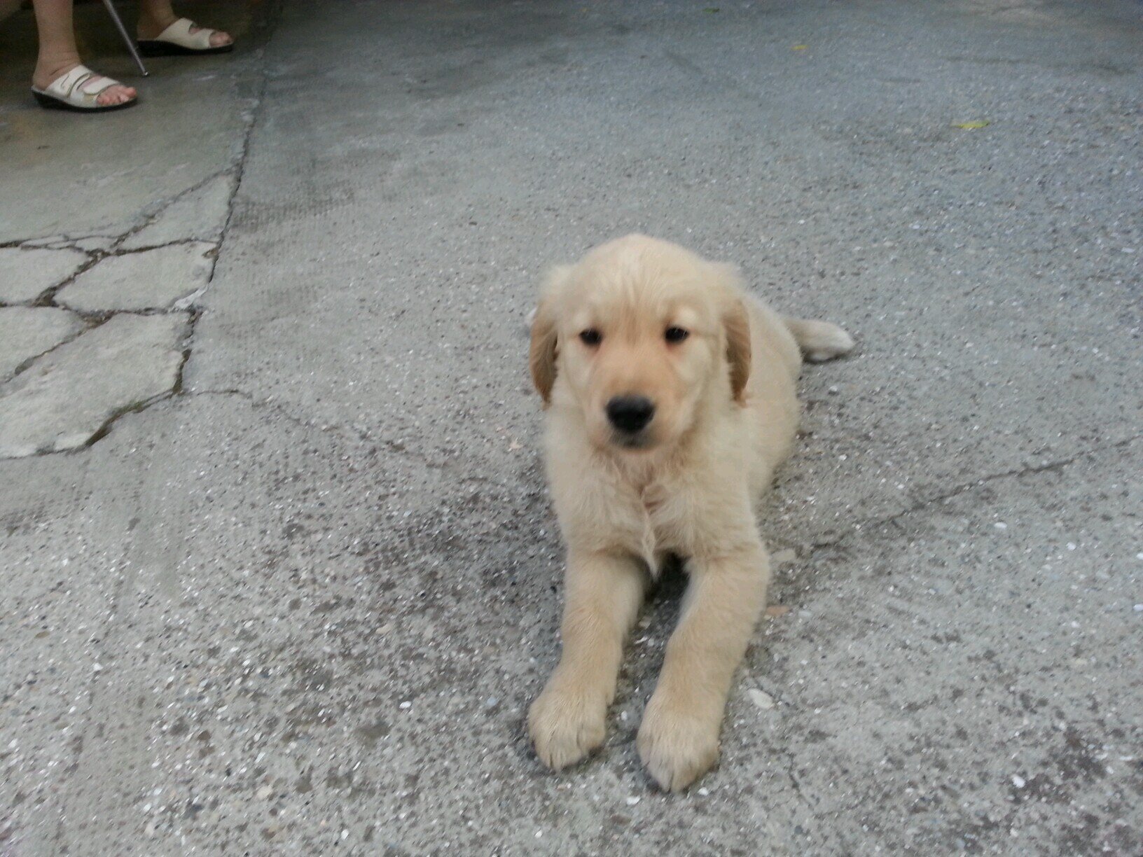 MRavaglioli's profile picture. 