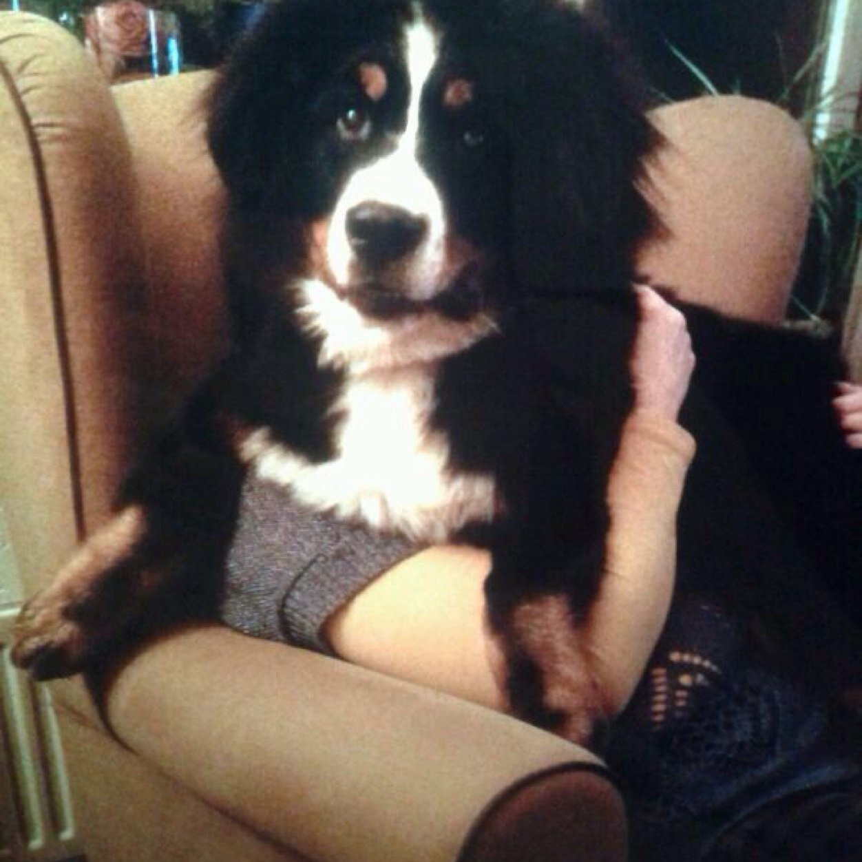 AndavanDijk's profile picture. 