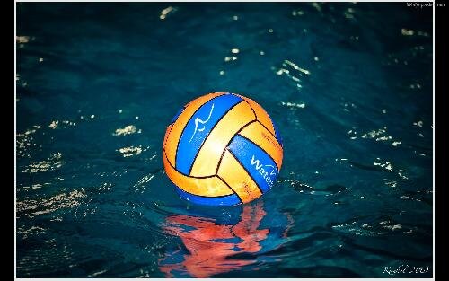 sarah_dunsbee's profile picture. 