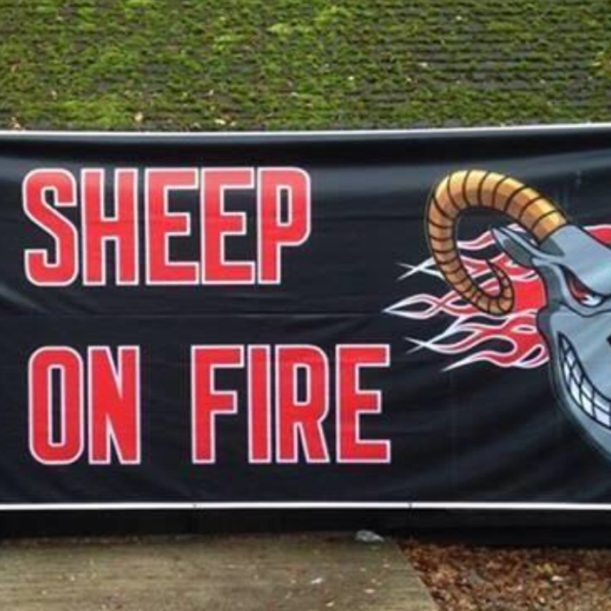 scottstoddart74's profile picture. 