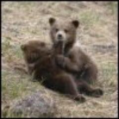 люблю приколы анекдоты юмор  #взаимныйфолловинг #followback