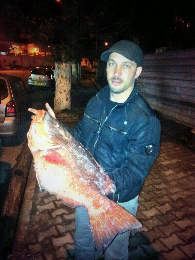 poullga's profile picture. 