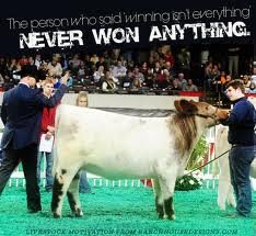 StockShowConfes Profile Picture