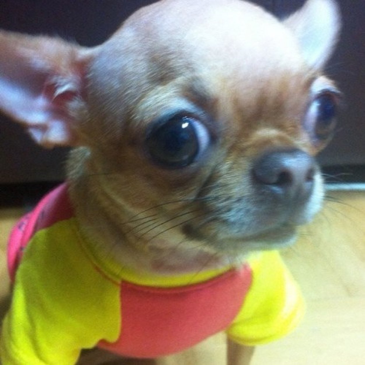 ptm333's profile picture. 